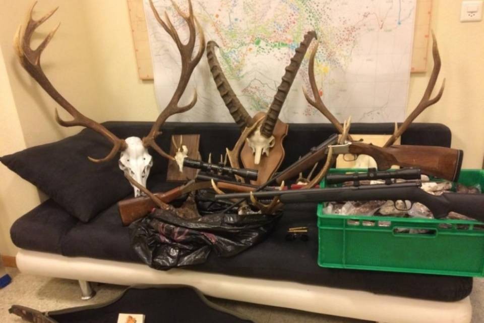 Fermati 12 bracconieri che hanno ucciso 26 animali