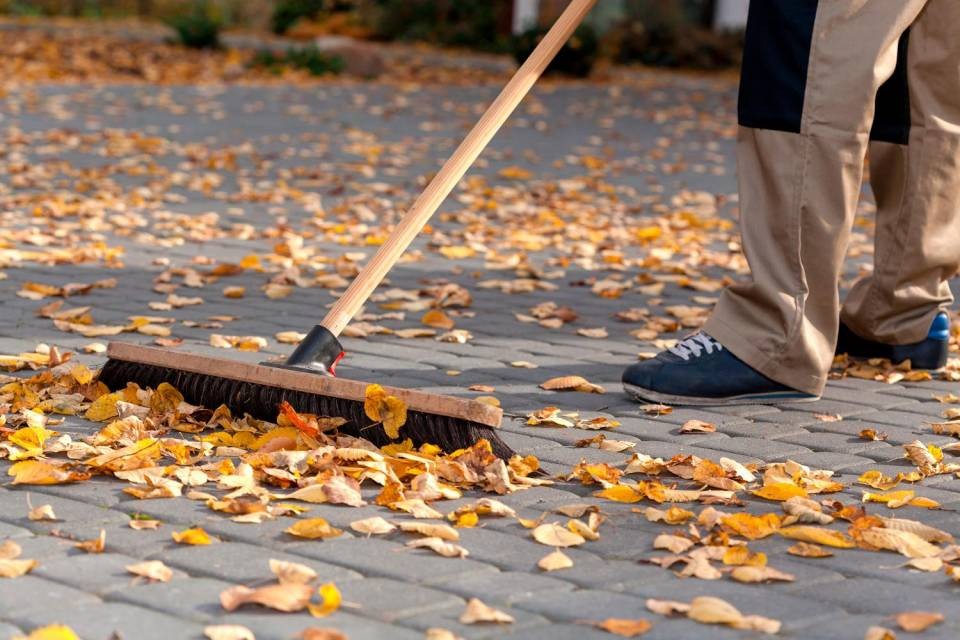Immagine Shutterstock