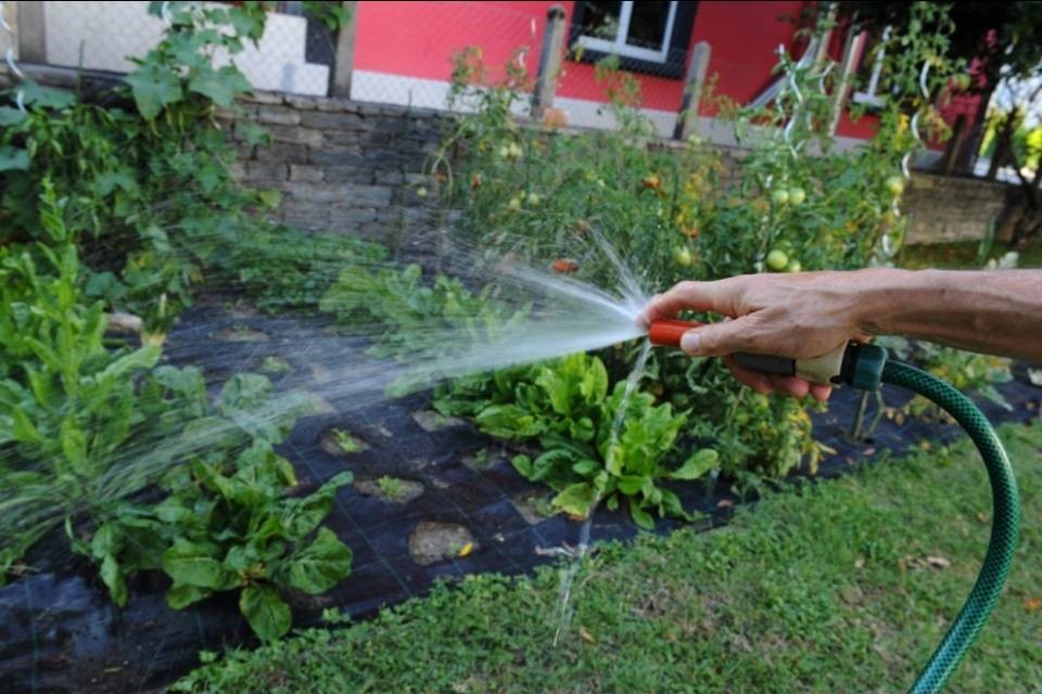 Pianezzo: "Evitate gli sprechi d'acqua"