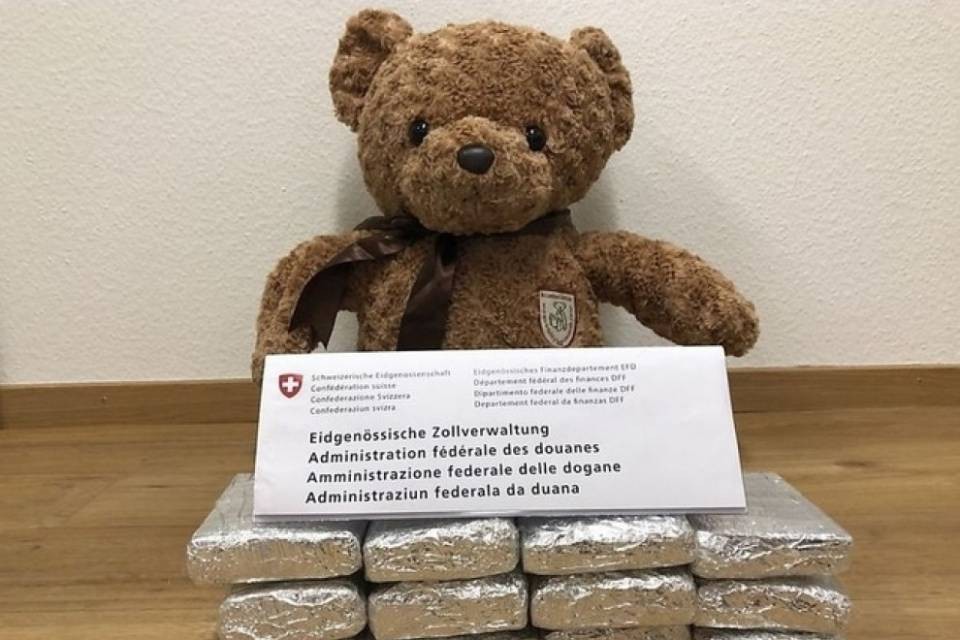 Un orsacchiotto... stupefacente