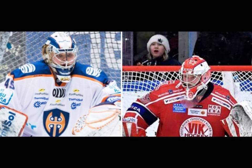 Due nuovi portieri per l'HCAP