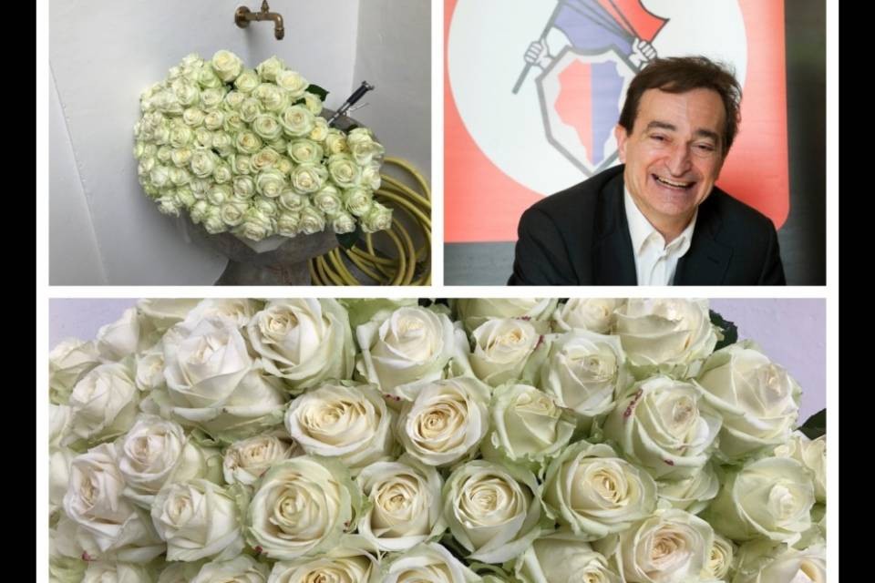 Philipp Plein, 200 rose e un bigliettino per Marco Borradori