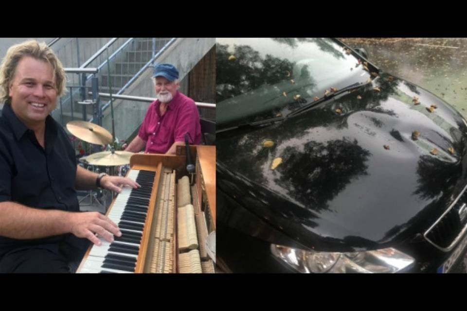 Investito il pianista ticinese Silvan Zingg