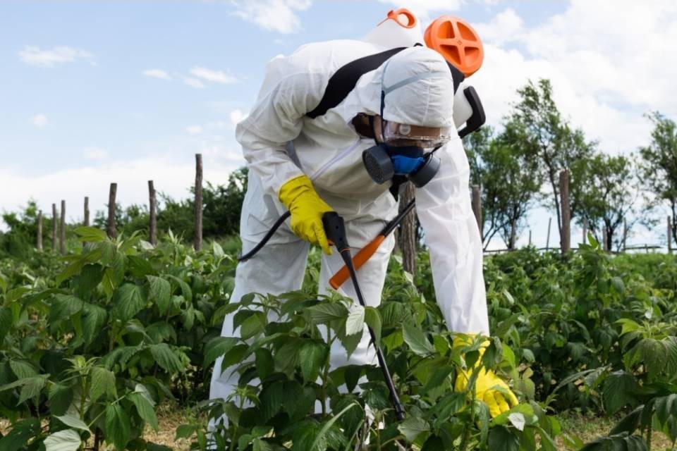 "Occorre ridurre i rischi legati all'uso di pesticidi"