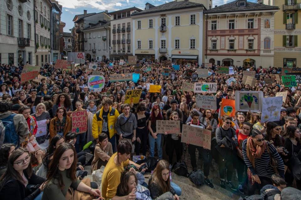 Immagine Reguzzi