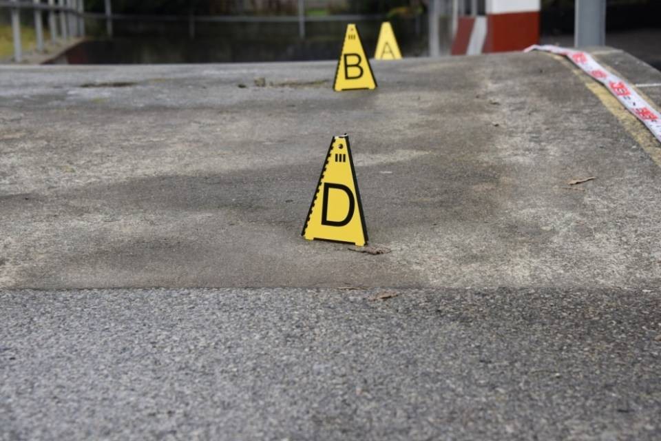 Omicidio di via Odescalchi, si torna in aula