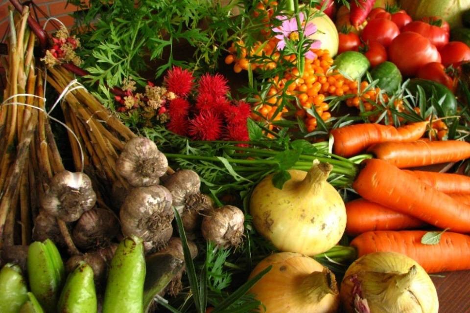 Cambio stagione, gli alimenti salva-salute