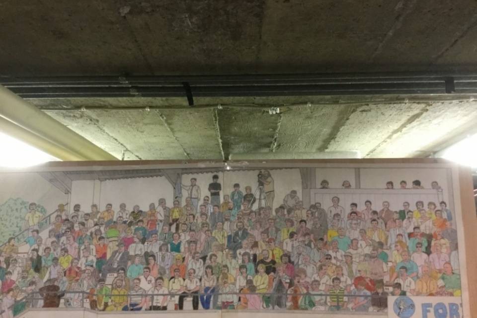 FC Locarno, il disegno del Ghiro per 10mila franchi