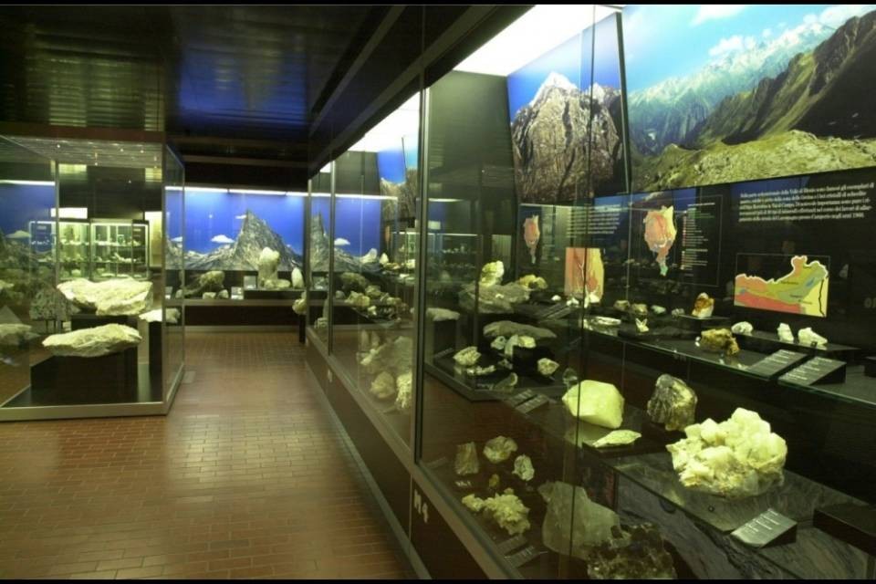 Sei candidature per il Museo di storia naturale