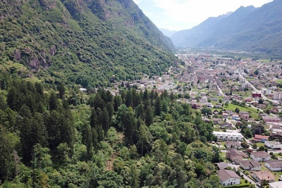 Bosco più protetto a Biasca