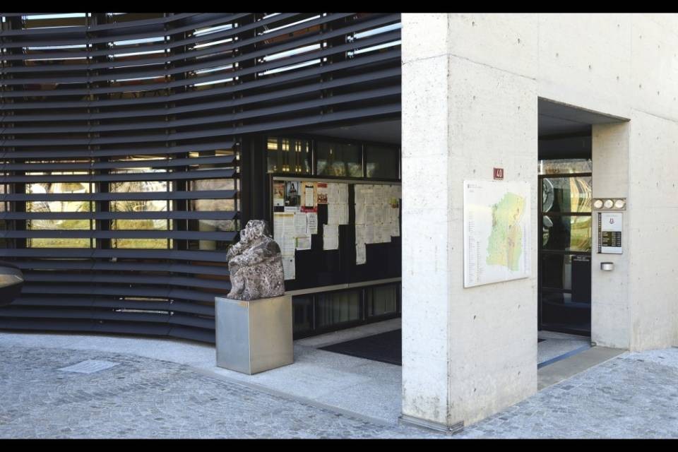 Lavori in corso e disagi al traffico a Taverne