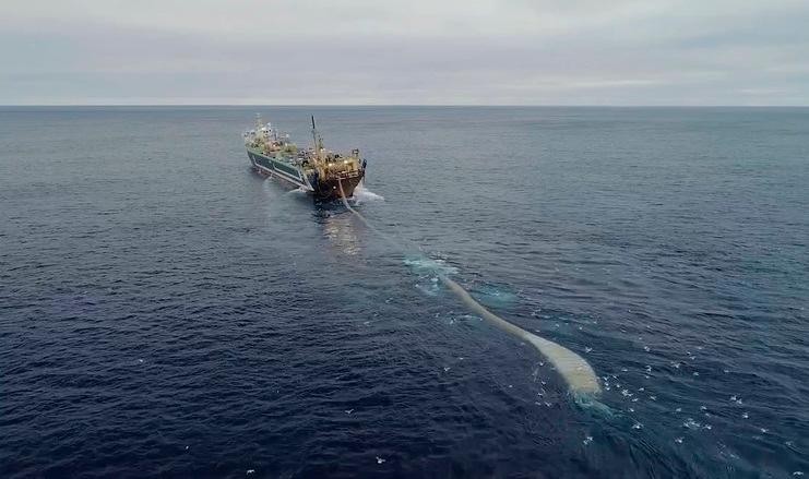 Il peschereccio FV Margiris. Screenshot video Sea Sheperd