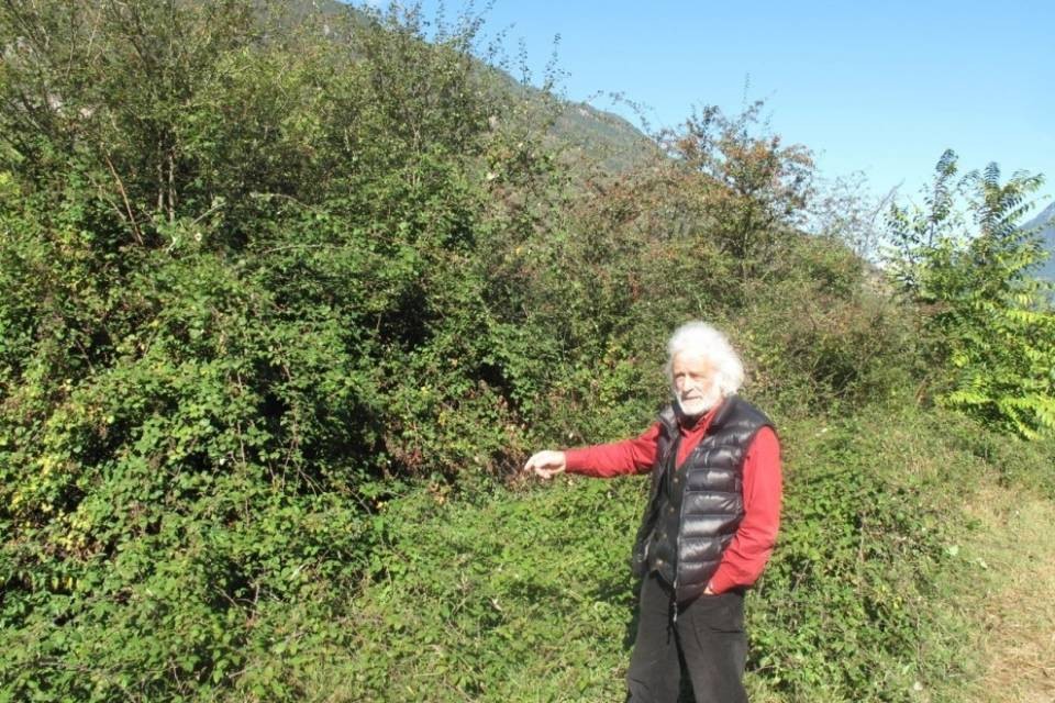 Olindo Vanzetta - Un’alternativa al parc Adula
