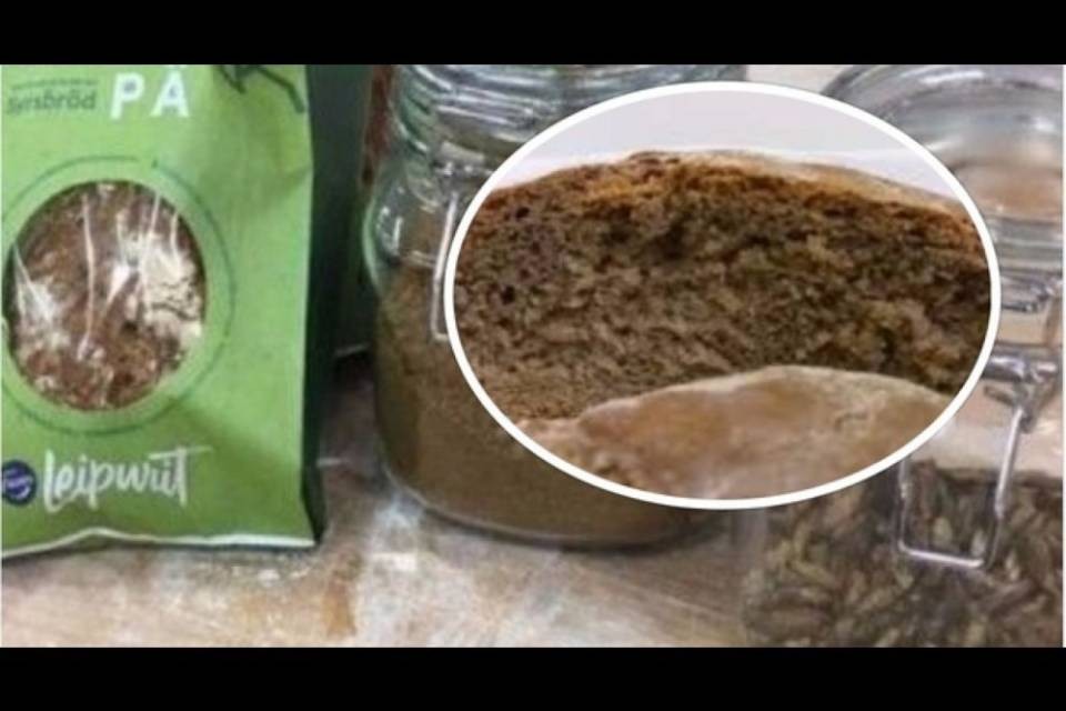 Da oggi in vendita il pane con farina di grilli