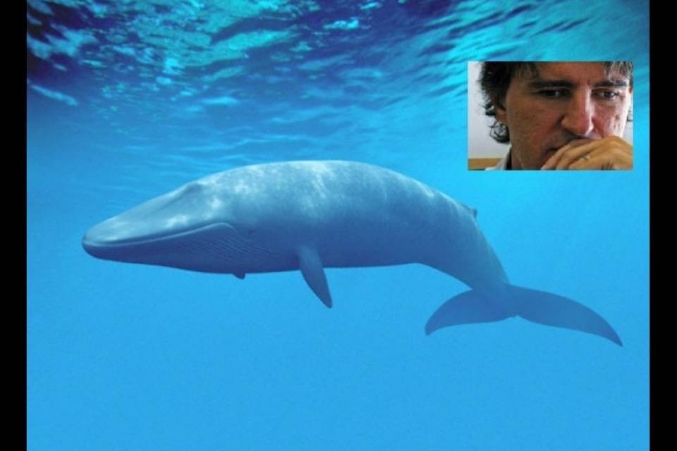 Blue Whale: "Determinante il ruolo delle famiglie”