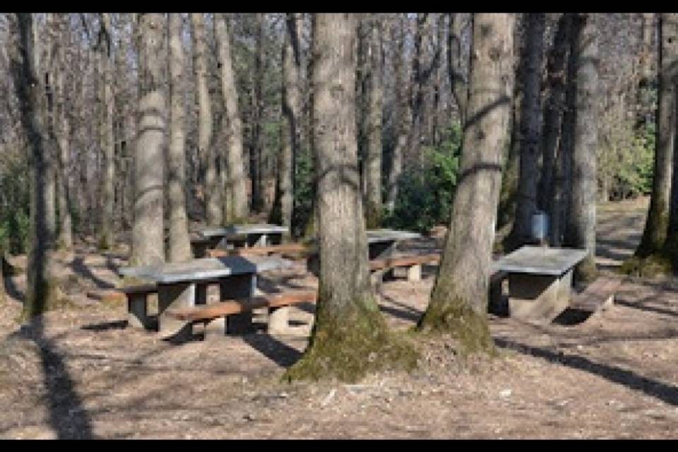 "Dimenticato due volte il parco Al Perato?"