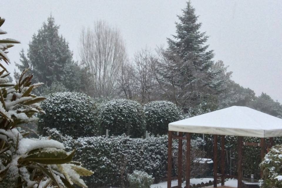Neve doveva essere e neve è stata