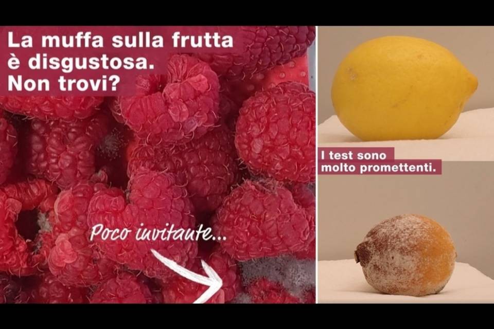 Migros cerca la cura per la muffa, ma i clienti sono scettici