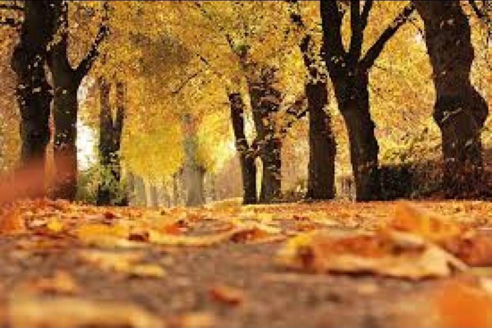 Un inizio di autunno che profuma ancora d'estate