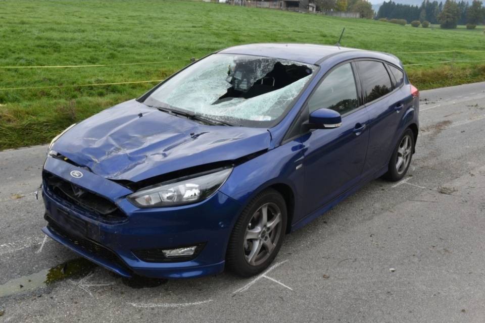 Urta una mucca e distrugge l'auto
