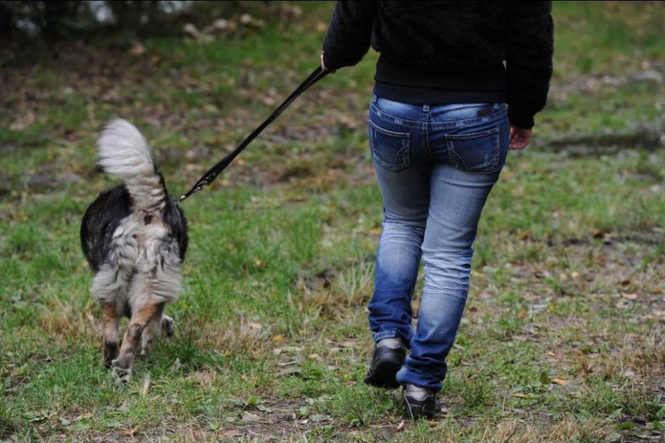 "A Locarno si sfruttano i proprietari di cani?"