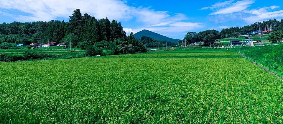 Il villaggio di Katsurao. Immagine sito del comune