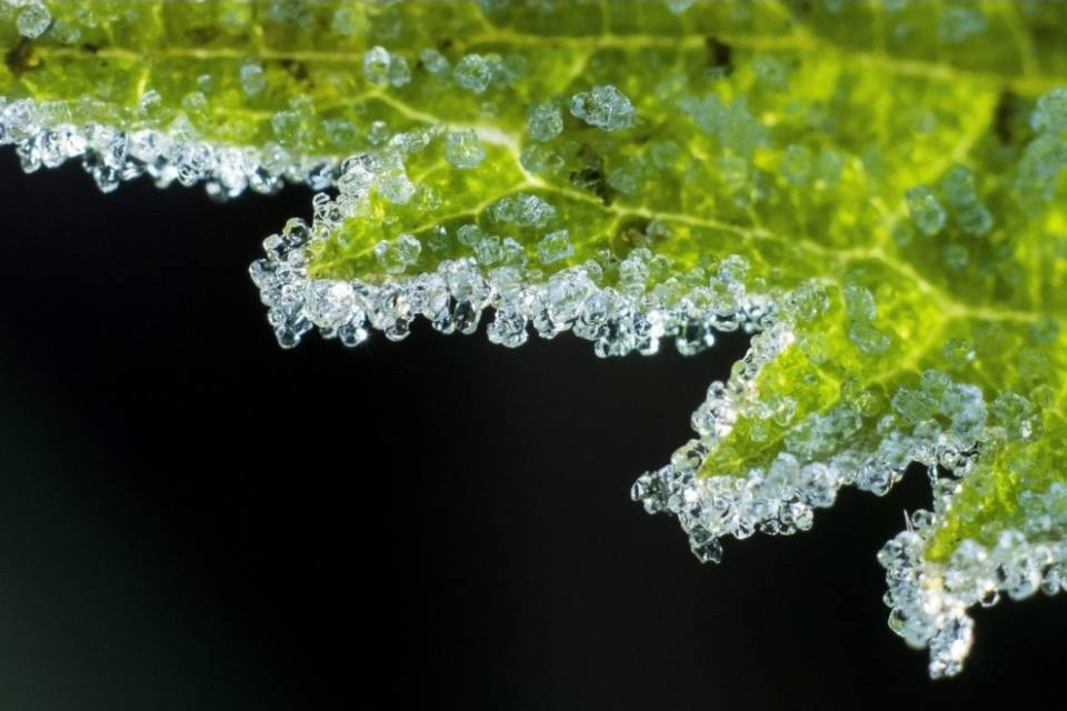 È stata una notte glaciale