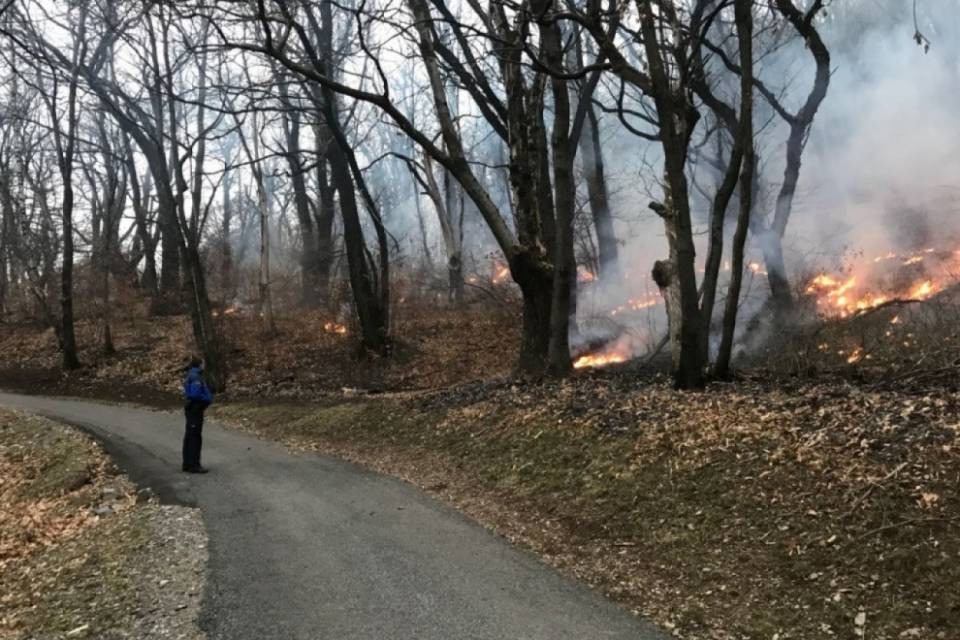 Incendio a Sonvico, è ancora doloso