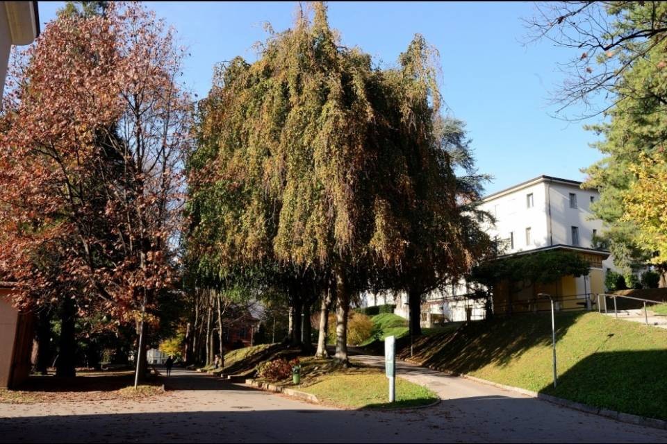 "All'OSC si è ben recepito 'Prima i nostri'"