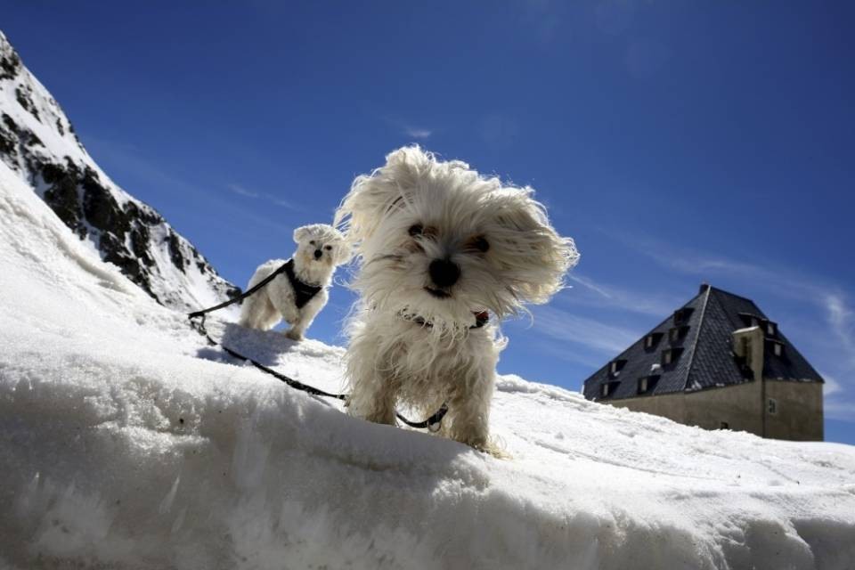 Neve fino a 600 metri
