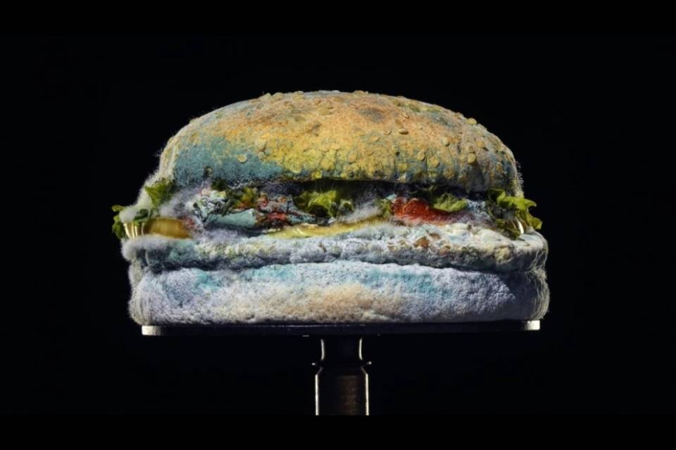 Burger King fa ammuffire un hamburger per pubblicità