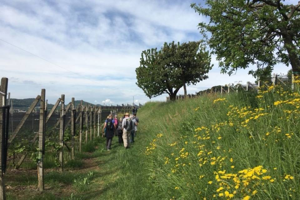 Grande successo per la Mangialonga