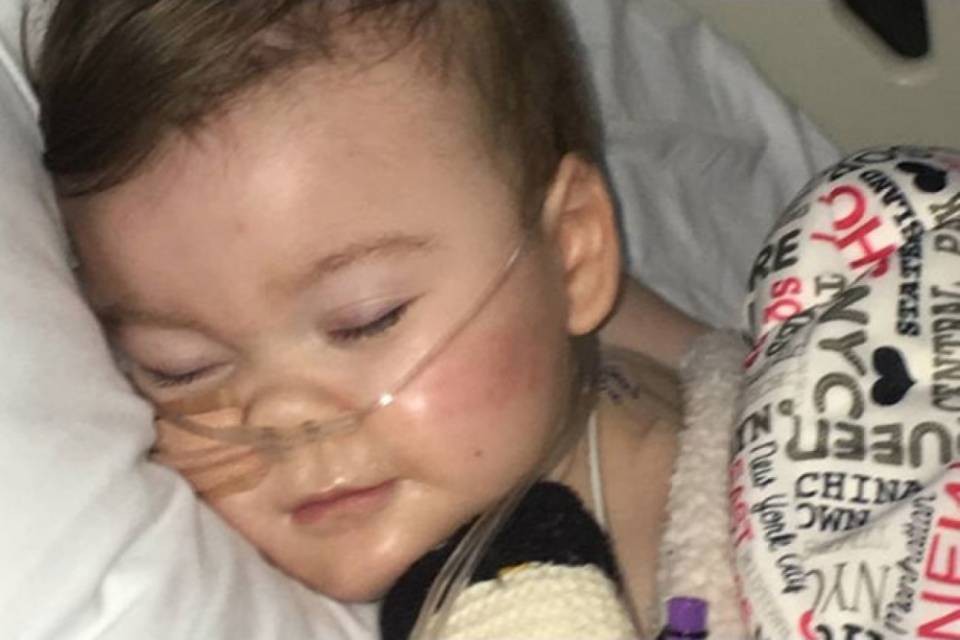 Alfie è morto, 'il gladiatore è volato via'