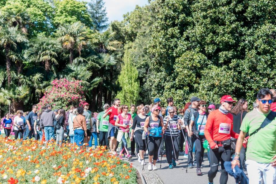 La 13esima edizione di Walking Lugano con 1800 partecipanti, anno 2019, con parte del percorso al parco Ciani. Foto CdT