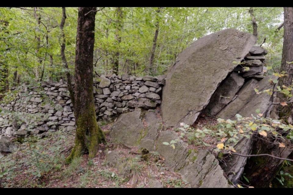 Mezzovico-Vira, un milione per le selve castanili