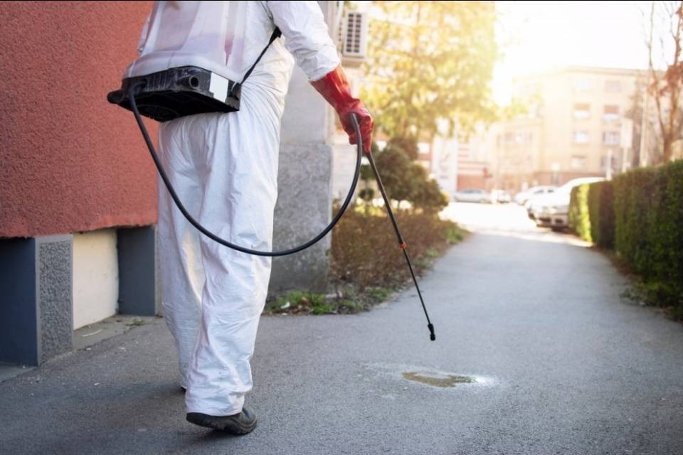 Oms: "non serve spruzzare il disinfettante sulle strade"