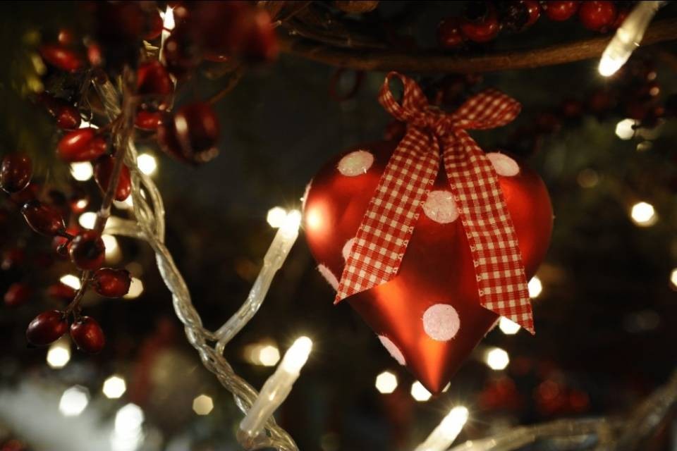 Si prepara al Natale, ma un pannello gli cade in testa