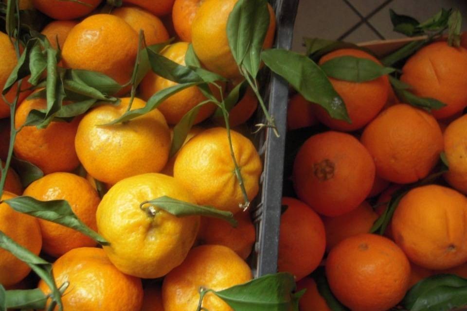 Strani venditori di mandarini in Ticino