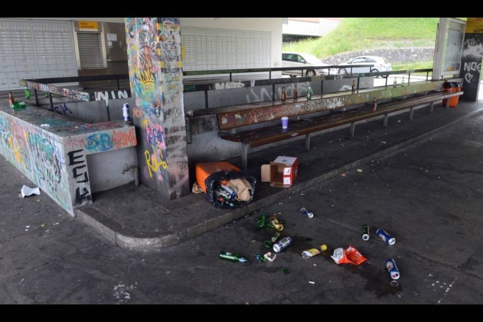 Mendrisio: "ci vorrebbero centinaia di netturbini"