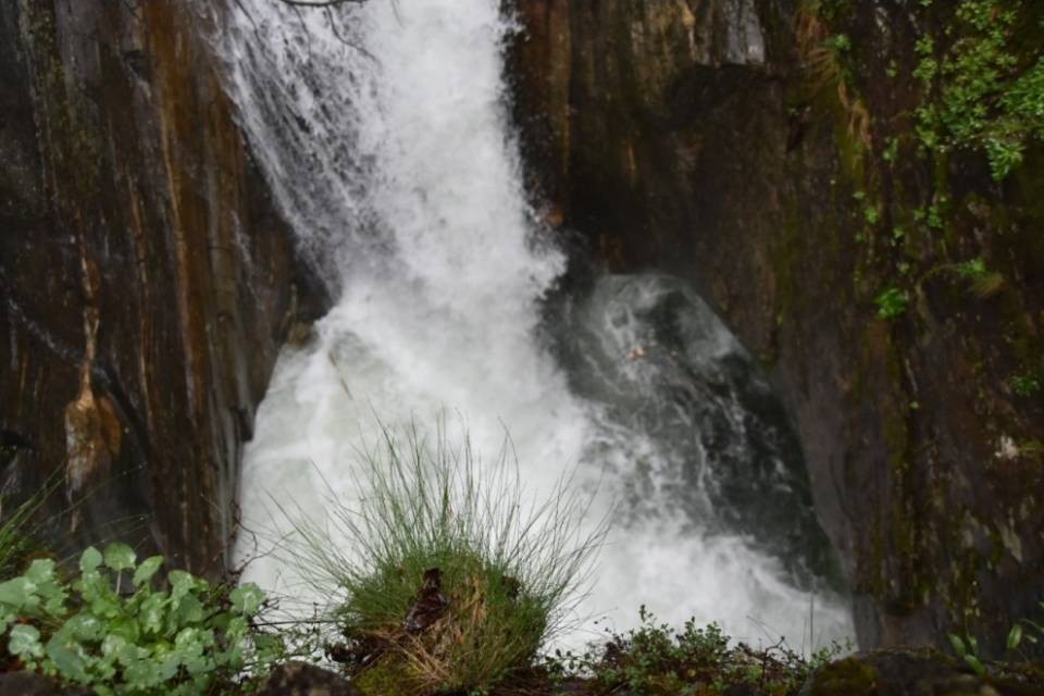 Momenti di terrore in Valle di Cresciano