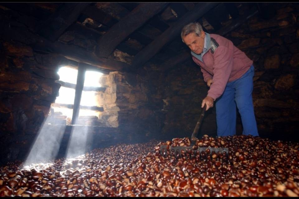 Dopo due anni torna la graa di Cabbio