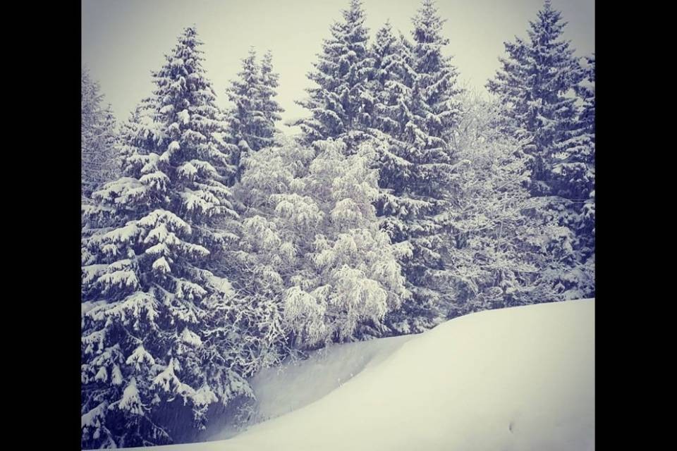 Torna la neve in montagna