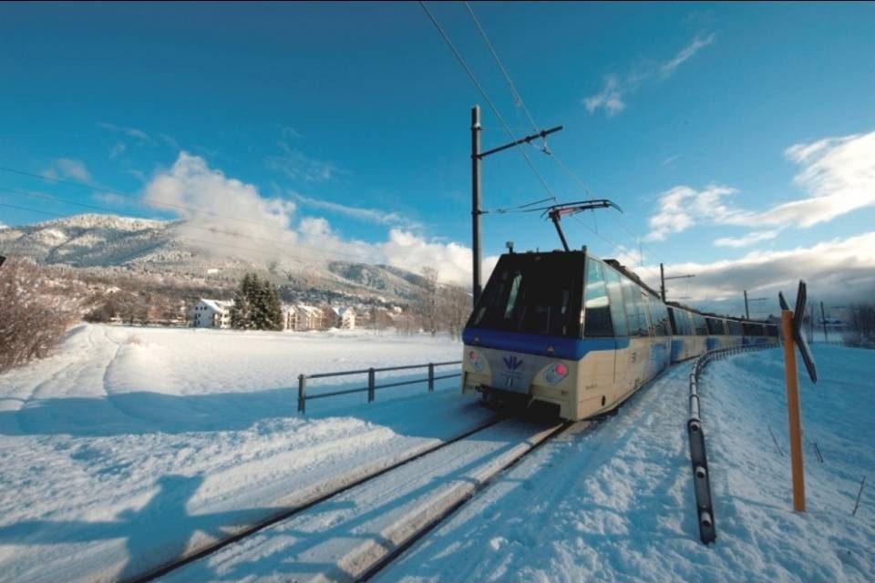 Interruzione temporanea per la Centovallina