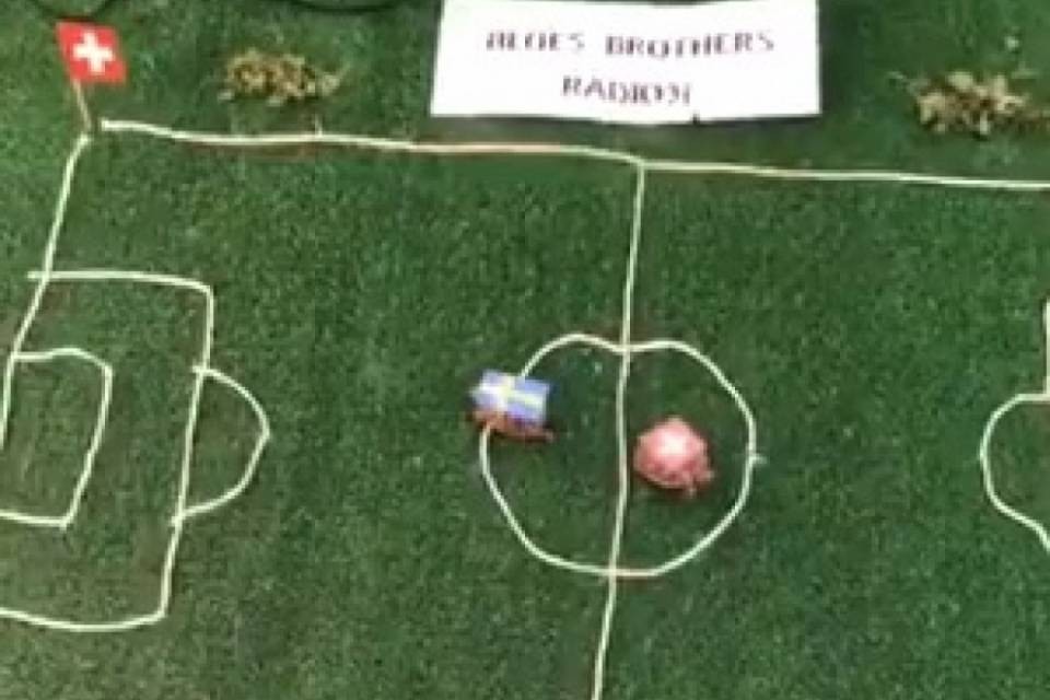 Shakira e Shaqiri danno per favorita la Svezia