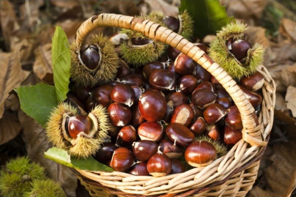 Castagne, la crisi è finita