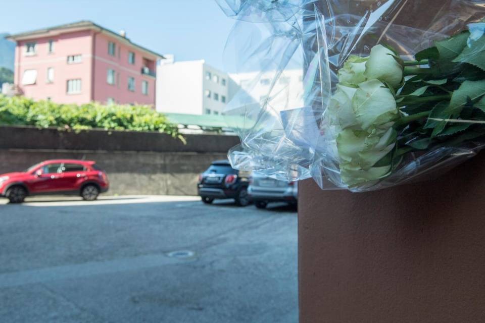 Immagine Reguzzi