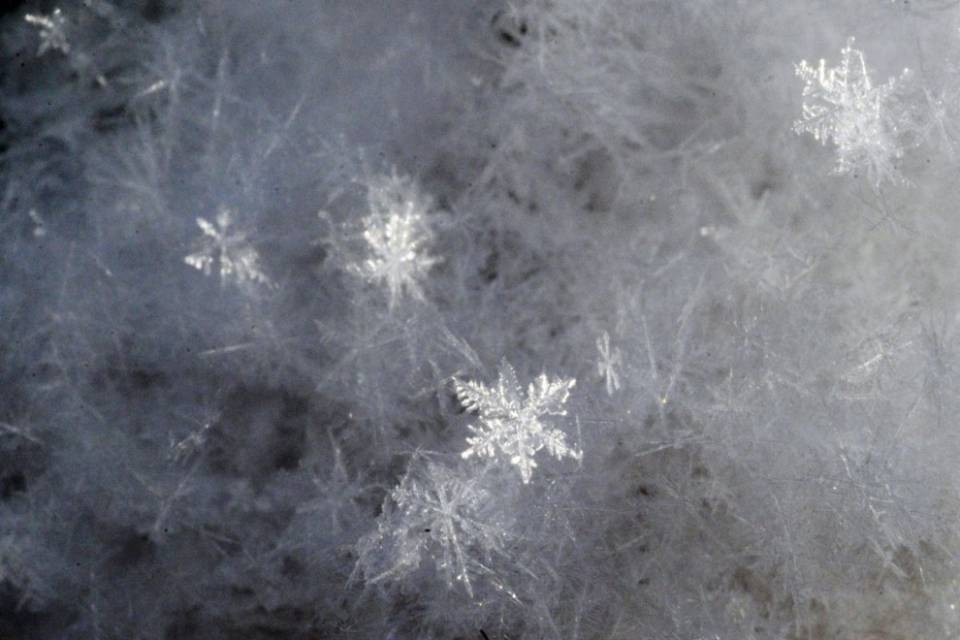 Forse torna la neve in pianura