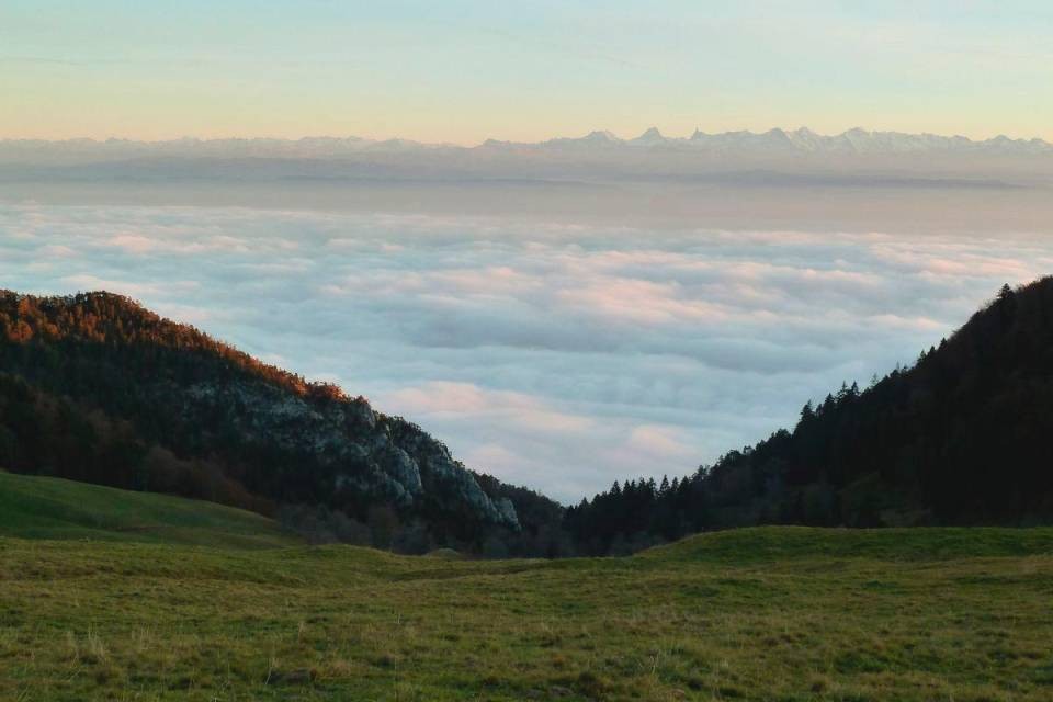 Immagine di Devaux Girardin Carine