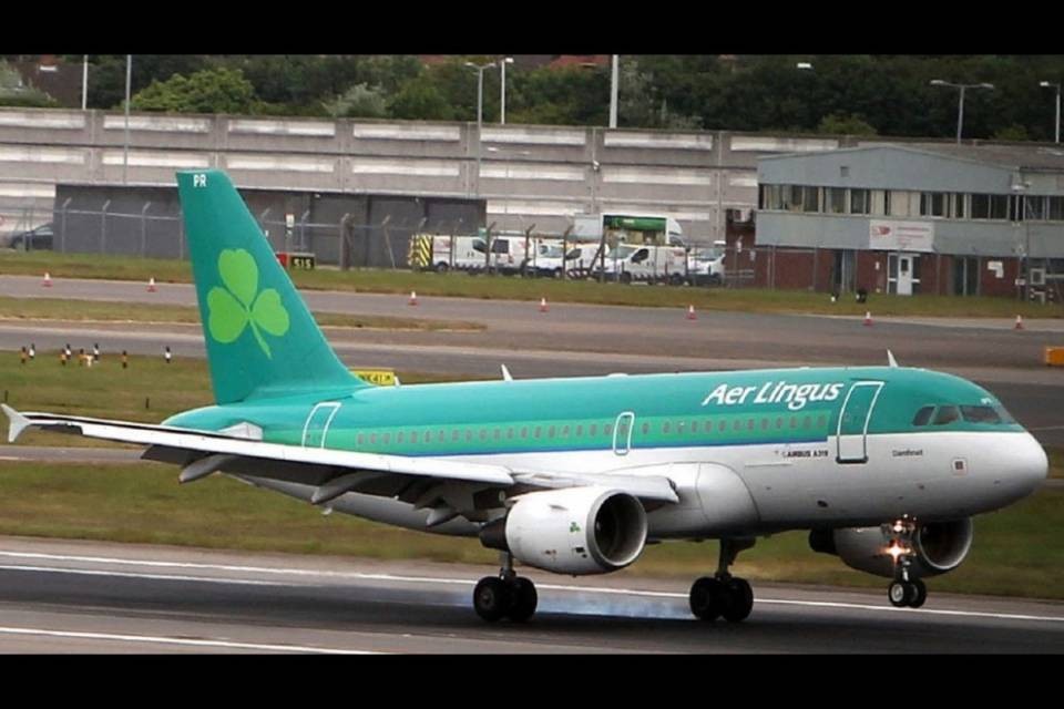 Morde i passeggeri dell'aereo e poi muore