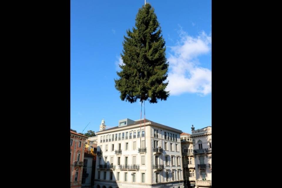 Lugano: è arrivato l'albero di Natale
